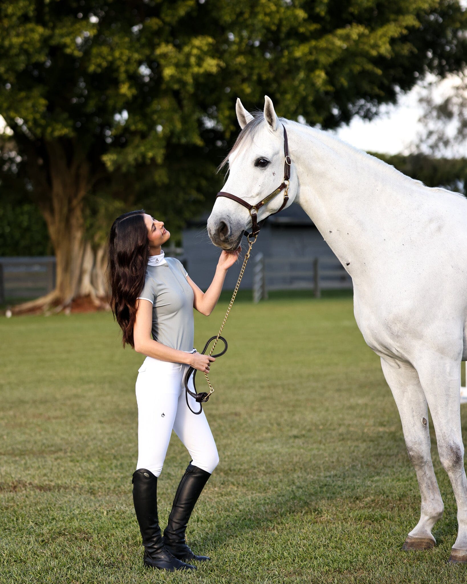Bella Short Sleeve Show Shirt | Dove Gray CriniereLife 